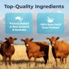 Ultimate Optimización Masculina Suplemento Órgano Carne 100 Alimentada Hierba Testículos