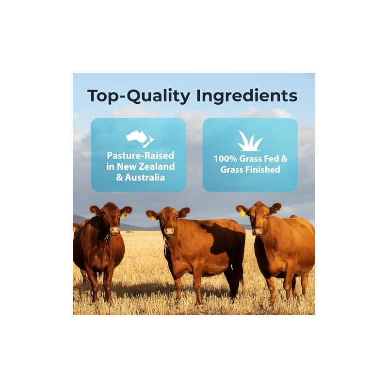 Ultimate Optimización Masculina Suplemento Órgano Carne 100 Alimentada Hierba Testículos