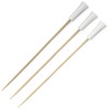 BambooMN Decorative Golf Tee Bamboo Cocktail Sandwich Skewer Picks -