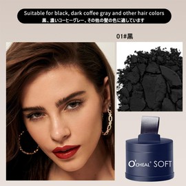 Hairline Powder, Root Color Refill Magic Hair Shadow Powder, Instant Hairline Shading Concealer, Puff Touch Hair Follicle Concealer, Thin Hair/Bald Follicle Concealer, Hair Powder for Women/Men, Take