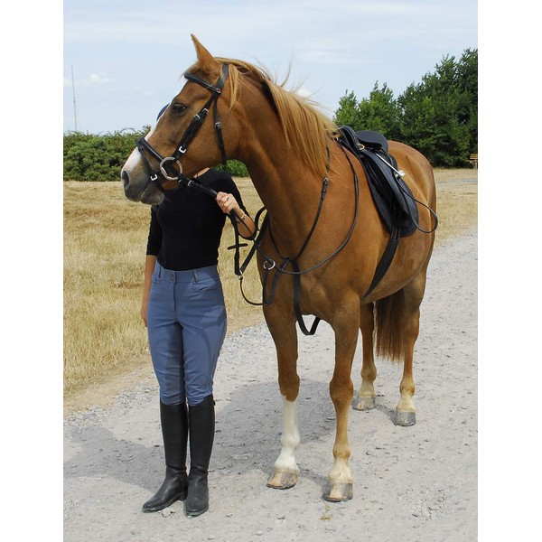 Windsor Equestrian Leather Running Martingale (Full, Black)