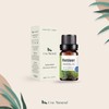 Uva Natural - Aceite Esencial de Vetiver 100% Natural 10