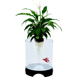 Penn-Plax 1.4 Gal Aqua-Ponic Betta Fish Tank with Hydroponic Planter