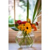 Richland Darden Vase
