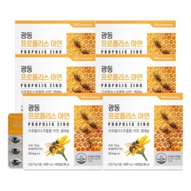 Guangdong [12 months] Guangdong Propolis Zinc 60 capsules, 6 / [12개월] 광동 프로폴리스 아연 60캡슐, 6개
