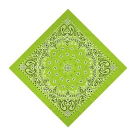 HankieWorld Unisex Bandanas Single Pack Super Soft Cotton 22 inch Cowboy Large Handkerchief with Nice Package(Light Green)