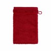 Frottana Pearl Wash Mitt, 20 x 15 cm
