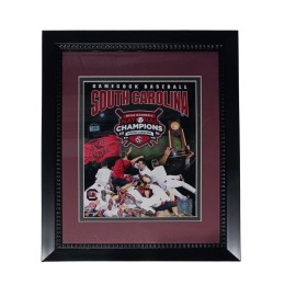 South Carolina Baseball 11x14 Frame 2010 National Champs