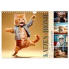 KATZEN-IRONIE Lach mal wieder (Wall Calendar 2026 DIN A4 Landscape),