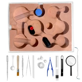 Ant Farm with DIY Living Ants for Children - Ant Habitat Kit with Transparent Ant Farm - Fun STEM Toys for Boys and Girls - Observe The Growth of Real Living Ant Clusters