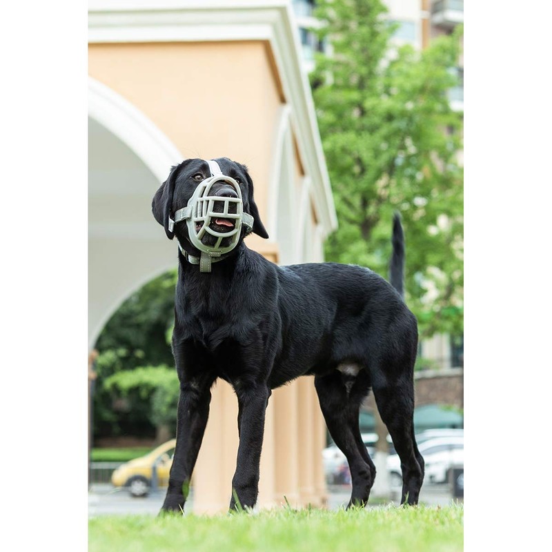 BARKLESS Dog Muzzle, Soft Silicone Basket Muzzle for Dogs, Allows