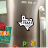 Texas Hart Designs I Wasn't Born in Texas But I