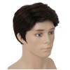 Salaibs Brown Short Wigs for Men Natural Looking Side Part