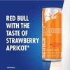Red Bull Amber Edition Strawberry Apricot Energy Drink, 8.4 Fl