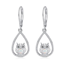 Palpitate Owl Earrings Owl Dangle Drop 925 Sterling Silver Animal Earrings Owl Gift Jewelry for women Girls Opal, Sterling Silver, No Gemstone