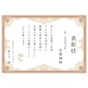 ASTAR A4 Blank Diploma Paper 10 Sheets Award File 180gsm