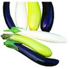 Park Seed Variety of Eggplant Vegetable Seeds, Plant Seeds, Easy