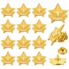 Tigeen 12 Pcs Year Service Reward Pins Star Enamel Pins