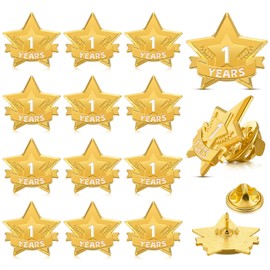 Tigeen 12 Pcs Year Service Reward Pins Star Enamel Pins Year of Service Award Lapel Pin for Long Standing Employees Volunteers Couples Anniversary(1 Year)