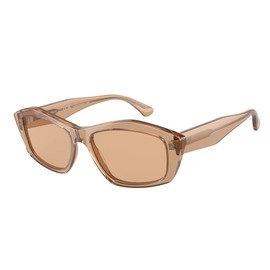 Emporio Armani EA 4187 Transparent Light Brown/Light Brown 55/16/140 women Sunglasses