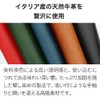 Abrasus Buttero Leather Edition, Thin Card Case, Made in Japan,