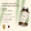 VETAIN Organic Barley Grass High Dose – 1,500 mg per