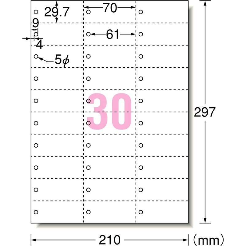 エーワン マルチカード 30面 単語カードサイズ 穴あき 5枚 51163