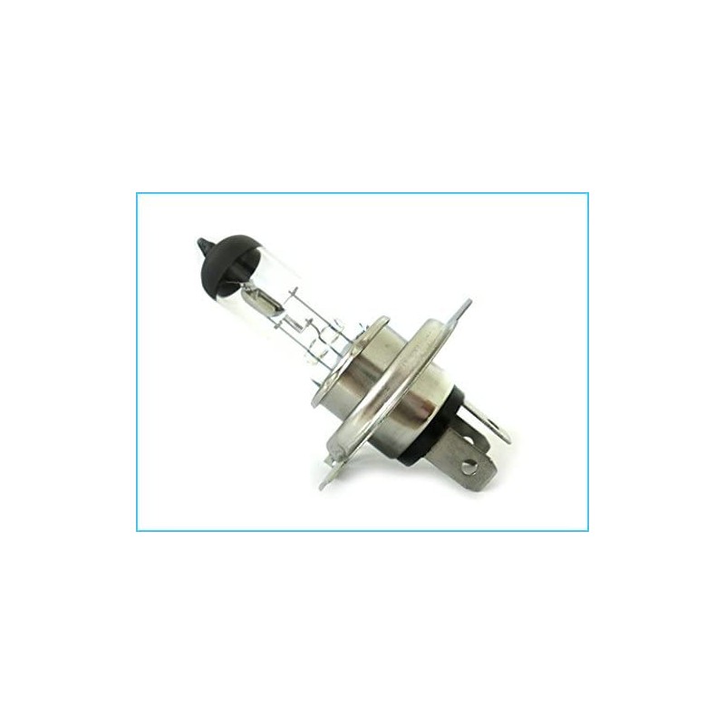 CARALL Halogen Bulbs 24 V for Trucks (H4 24 V