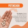 Restart Complex Completo Vitamina B12 Suplemento Complejo Mujer Hombre Laboratorio