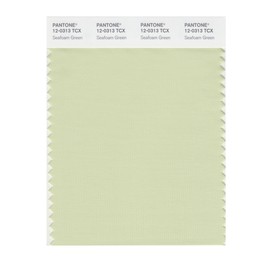 PANTONE Smart 12-0313X Color Swatch Card, Seafoam Green