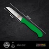 Friederich Herder Schilmes Plastic Green
