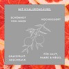 SUNLIFE Collagen Sticks: Collagen Peptides and Hyaluronic Acid for Elasticity