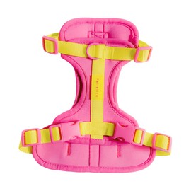 Pet Harness – No Pull Front & Rear Attachment | 4 Adjustable Straps | Breathable Neoprene Fabric | Room-to-Grow | Puppy Friendly - Pink Daisy (Small)