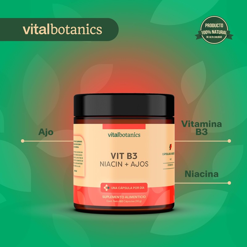 Vitamina B3 / Niacina y Ajo. Con 60 capsulas de