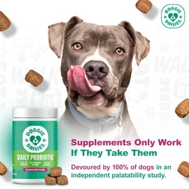 Doggie Dailies Probiotics for Dogs, Advanced Dog Probiotics with Prebiotics, Promotes Digestive Health, Supports Immune System and Overall Health (Duck)
