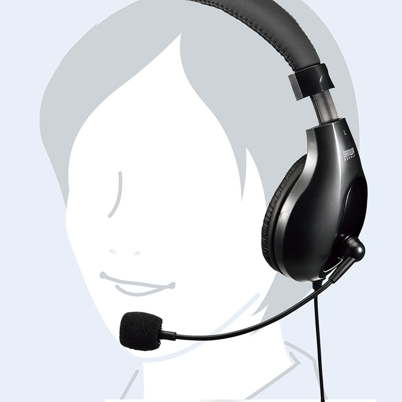 Sanwa Supply MM-HS401BK Headset, 0.1 inch (3.5 mm) Mini Plug