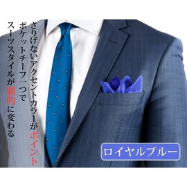 Freate Pocket Square, 100% Silk, Large, 13.8 x 13.8 inches (35 x 35 cm), Includes Folding Guide (English Language Not Guaranteed), royalblue, 35×35cm
