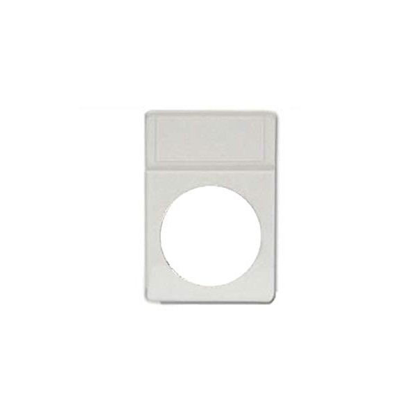 BCW Dollar Display Slab Inserts - 25 ct