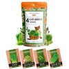 HOME GROWN Cat Grass Seeds - Grow Cat Grass for