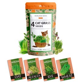 HOME GROWN Cat Grass Seeds - Grow Cat Grass for Indoor Cats - Cat Grass Seeds Bulk - Refill Cat Growing Grass Kit - Heirloom Cat Grass Seed (Cat Grass - 4pack)