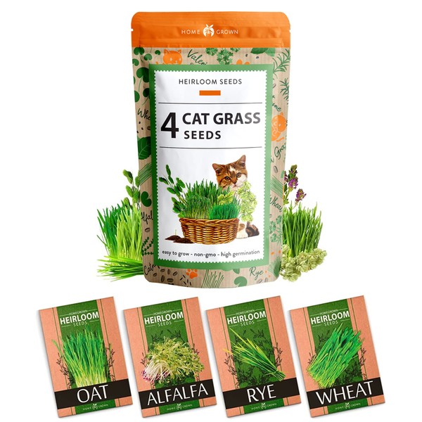 HOME GROWN Cat Grass Seeds - Grow Cat Grass for