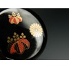 Nakashi Takadai Sai-e Black Paint, Resin Paint, Made in Japan,