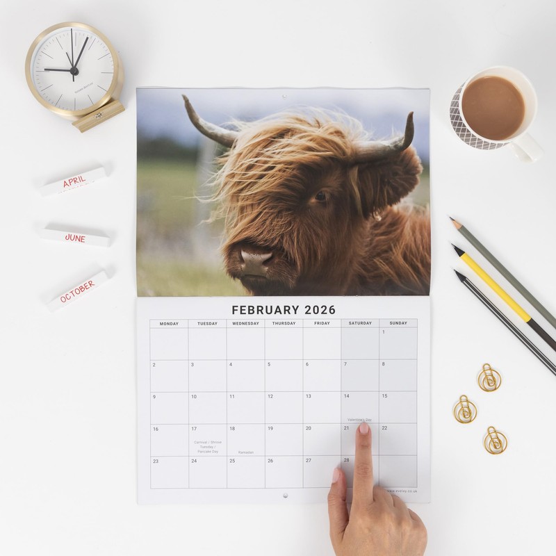 evelay 2026 A4 Highland Cow Calendar Month to View A3