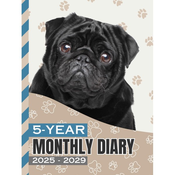 5-Year Monthly Diary 2025-2029: Hardcover / 8.5x11 Daily Dated Notebook