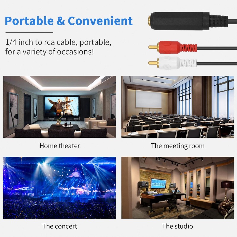 Poyiccot 6.35mm RCA to Audio Cable, 6.35mm Female to 2RCA