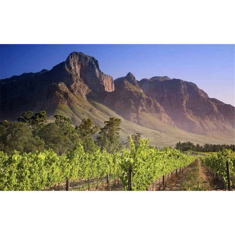 artesian bottled water Ciska Artesian Sparkling Water (2) Bottles per