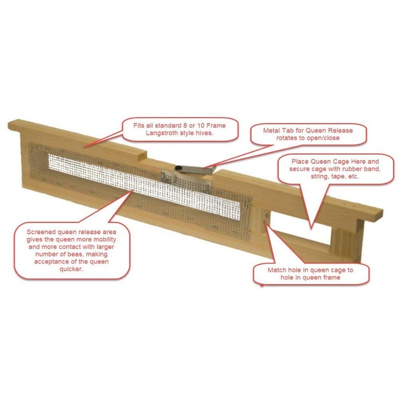 Queen Introduction Frame for 5, 8 or 10 Frame Bee