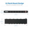 Tripp Lite Tripp Lite 12-Outlet Rack Mount Power Strip PDU,