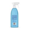 Method Method Bathroom Cleaner, Removes Mold + Mildew Stains, Eucalyptus