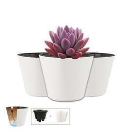 Smart Garden Maceta autorregable OC1009 Decorativa, Ovalada, Mini, Moderna, Interior. Autorriego Inteligente - Plástico ABS Anti UV (10cm de diámetro x 9cm de Alto) (3, Blanco Mate)